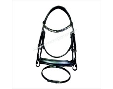 Leather Bridle